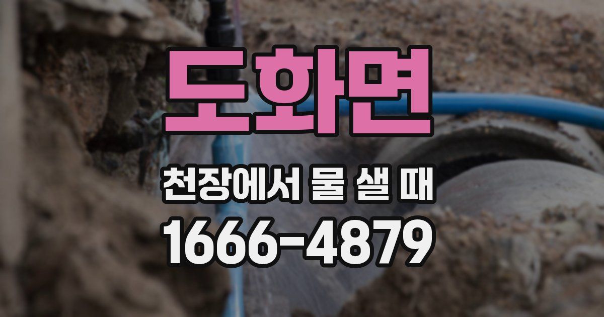 도화면 천장에서 물 샐 때