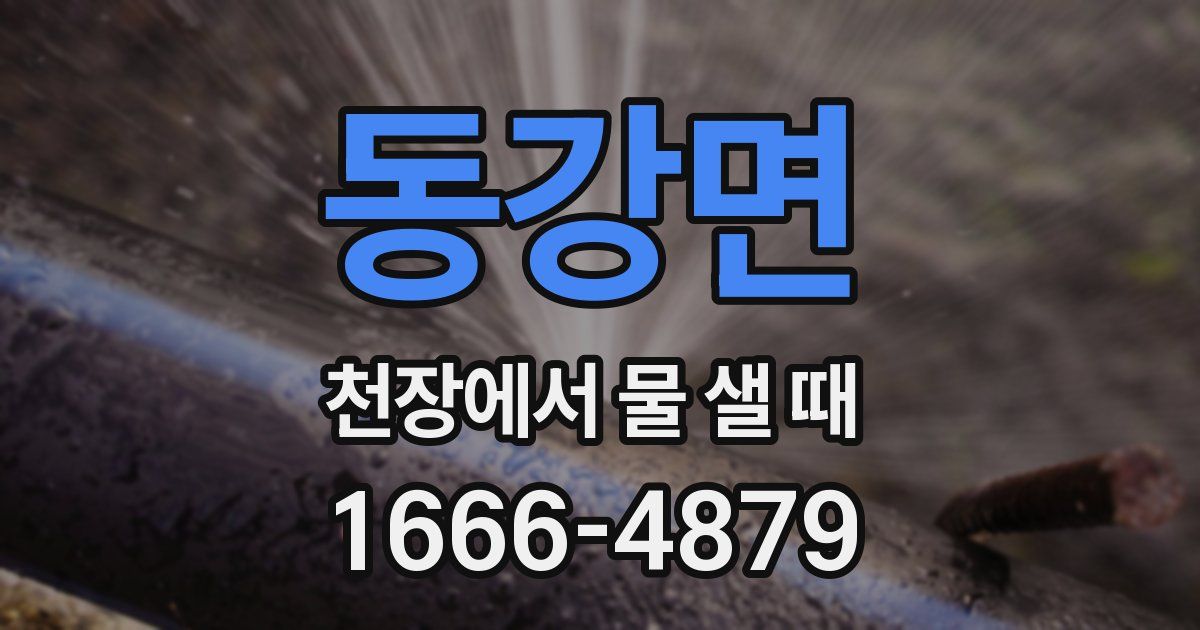 동강면 천장에서 물 샐 때