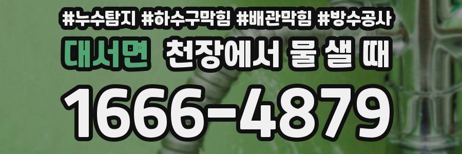 대서면 천장에서 물 샐 때