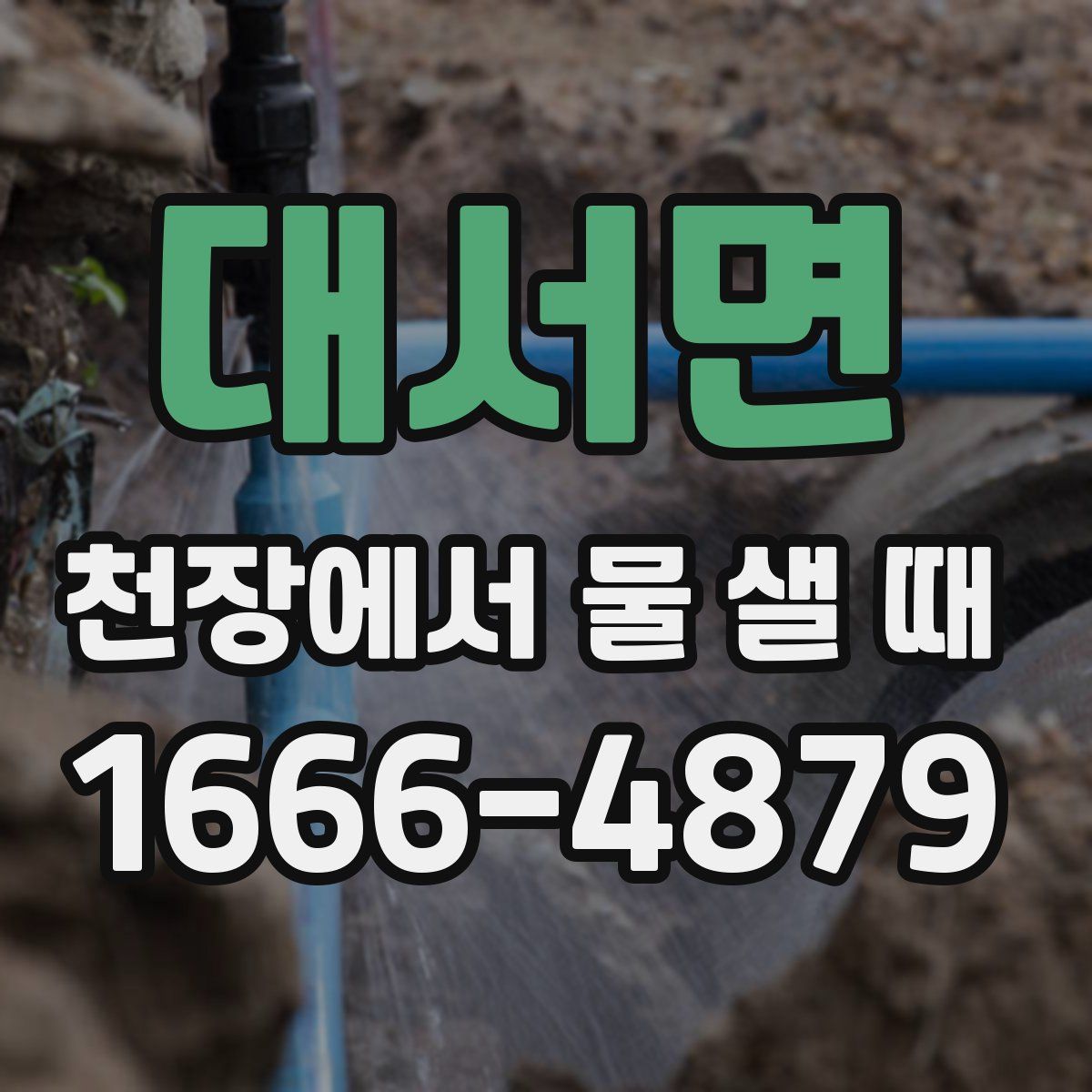 대서면 천장에서 물 샐 때