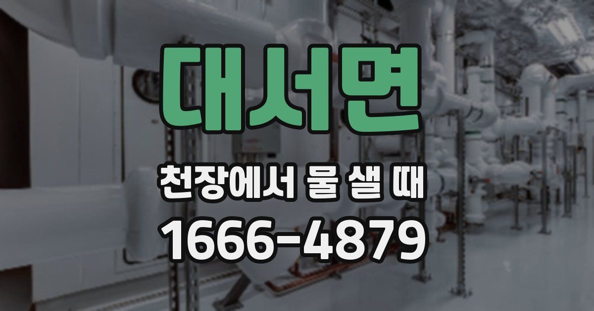 대서면 천장에서 물 샐 때