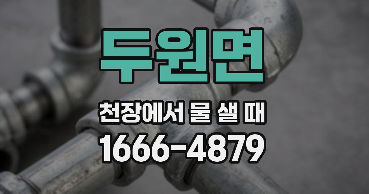 두원면 천장에서 물 샐 때