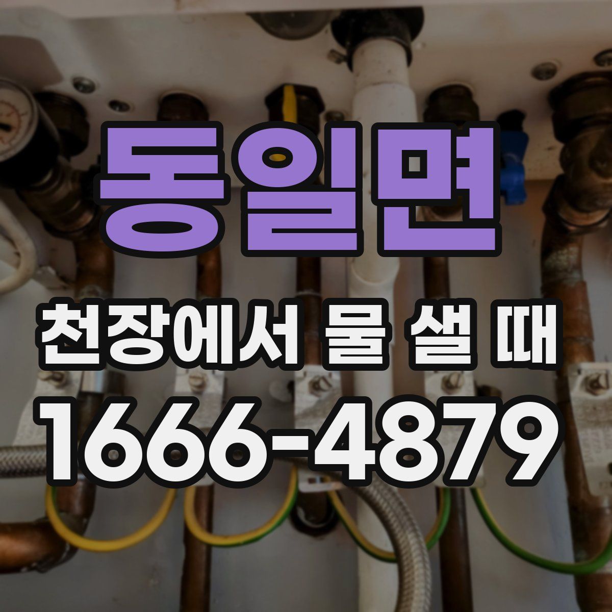 동일면 천장에서 물 샐 때