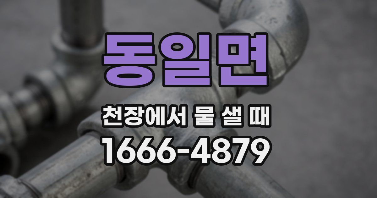 동일면 천장에서 물 샐 때