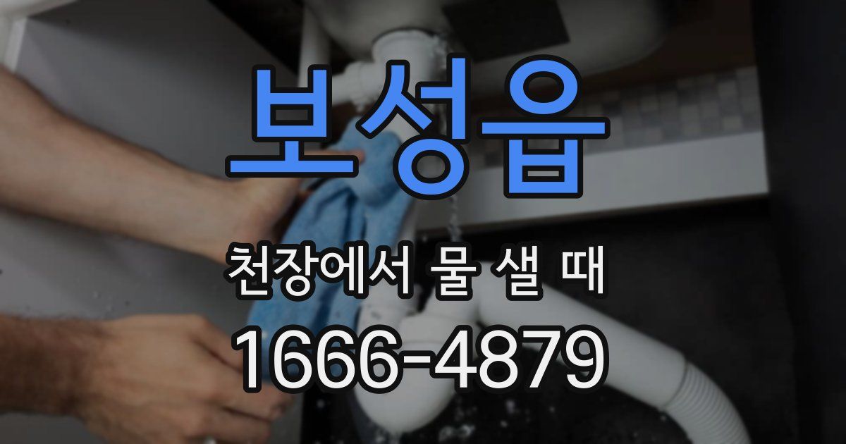 보성읍 천장에서 물 샐 때