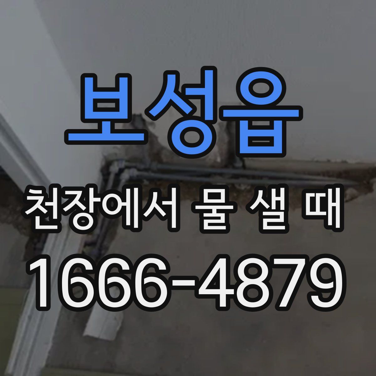 보성읍 천장에서 물 샐 때