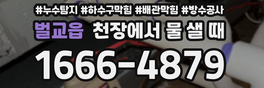 벌교읍 천장에서 물 샐 때