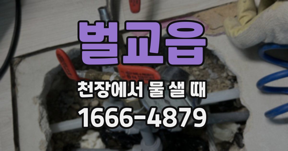 벌교읍 천장에서 물 샐 때
