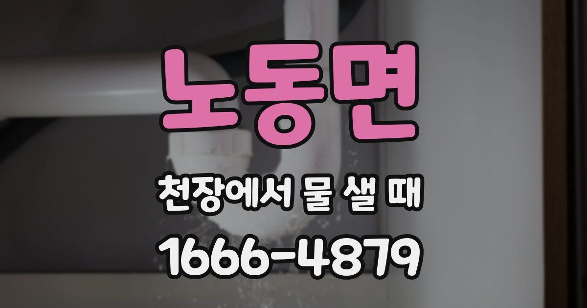 노동면 천장에서 물 샐 때