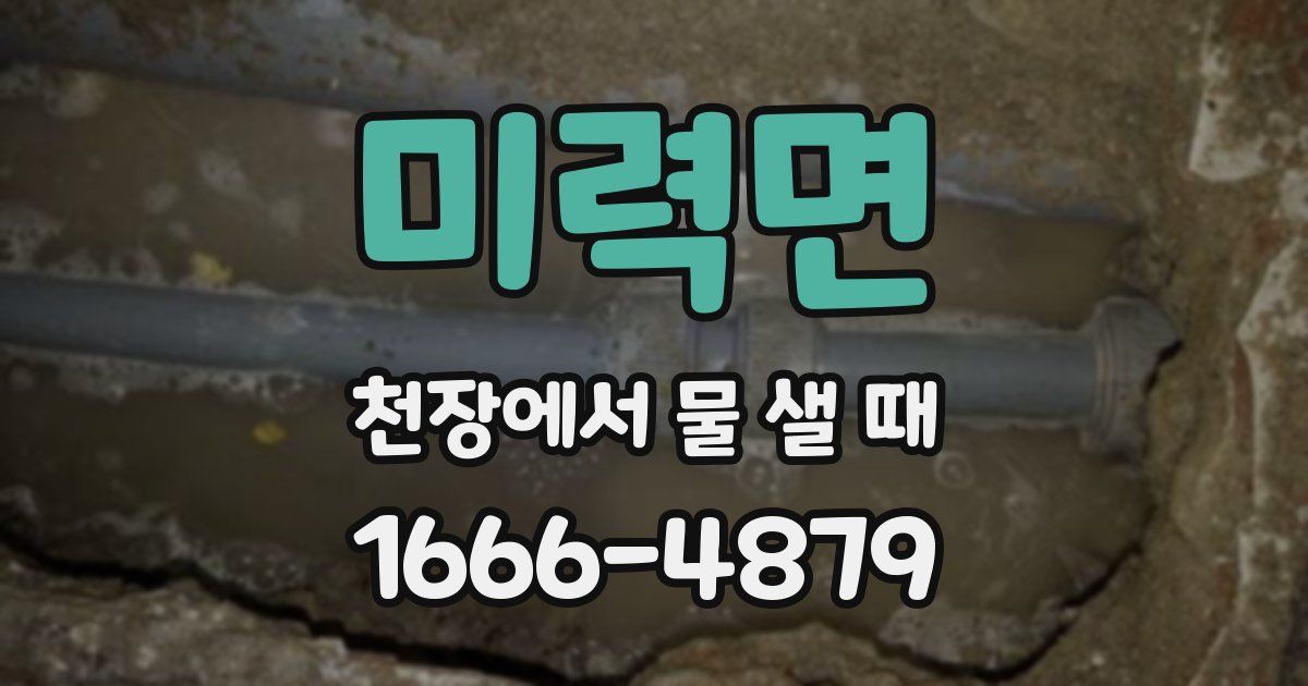 미력면 천장에서 물 샐 때
