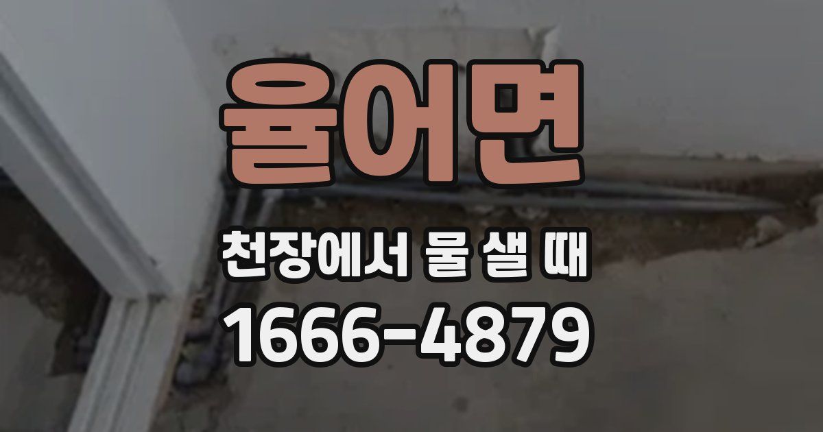 율어면 천장에서 물 샐 때
