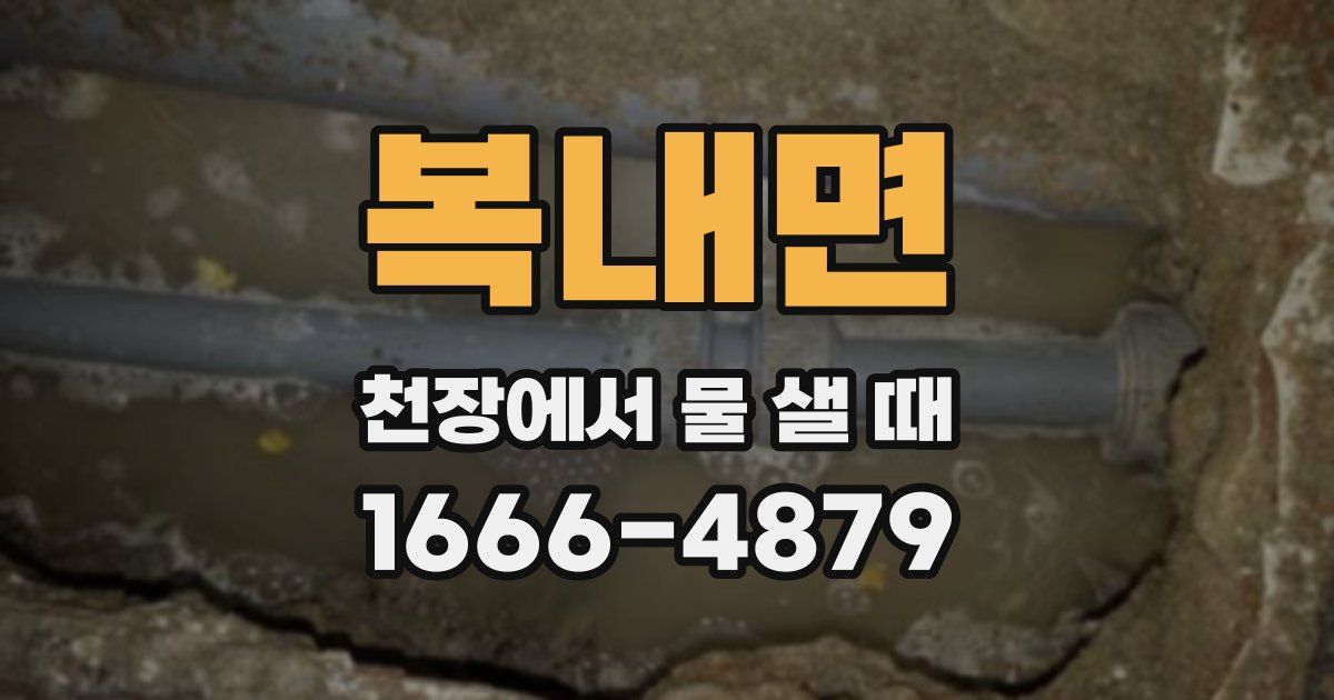 복내면 천장에서 물 샐 때