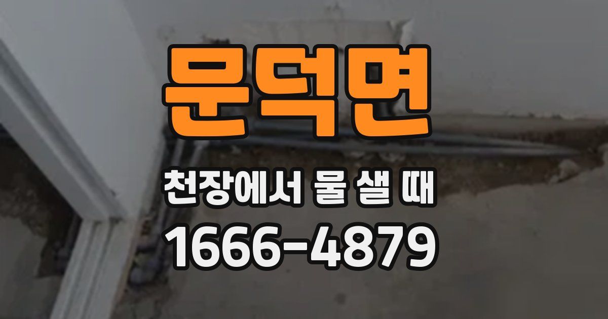문덕면 천장에서 물 샐 때