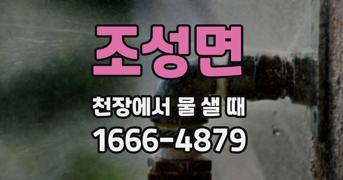 조성면 천장에서 물 샐 때
