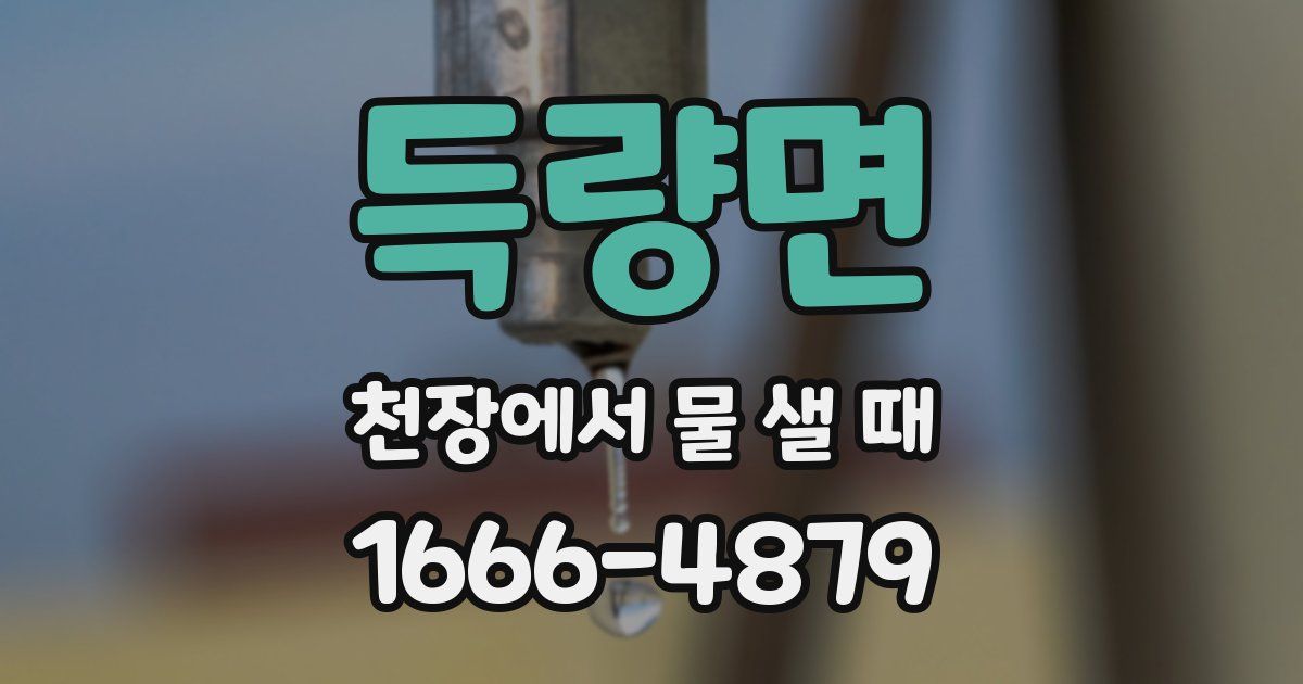 득량면 천장에서 물 샐 때