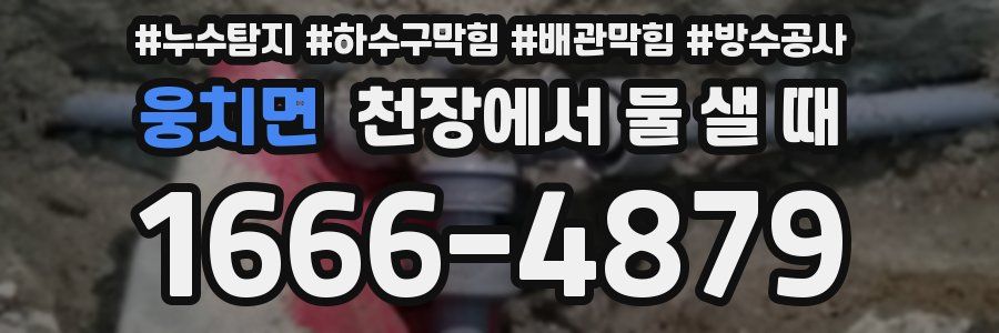 웅치면 천장에서 물 샐 때
