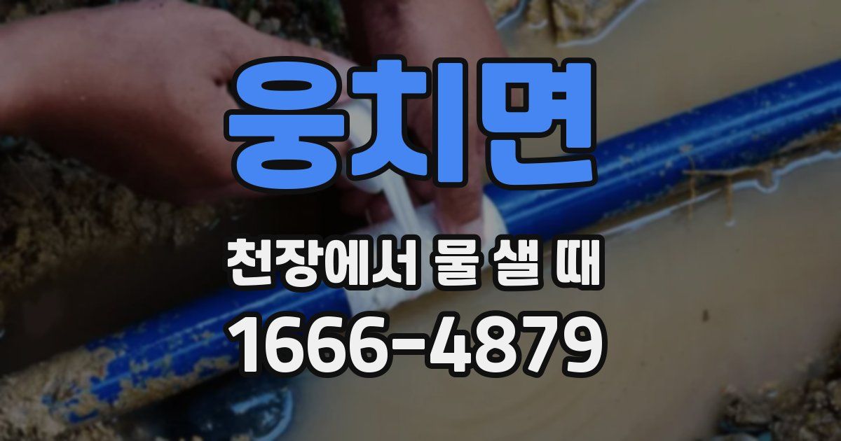 웅치면 천장에서 물 샐 때