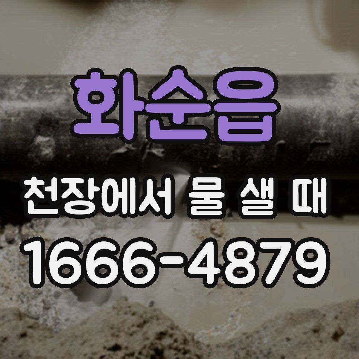 화순읍 천장에서 물 샐 때