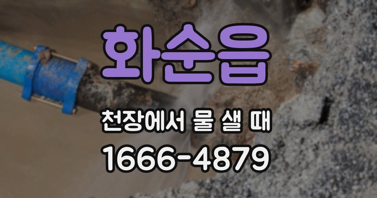화순읍 천장에서 물 샐 때
