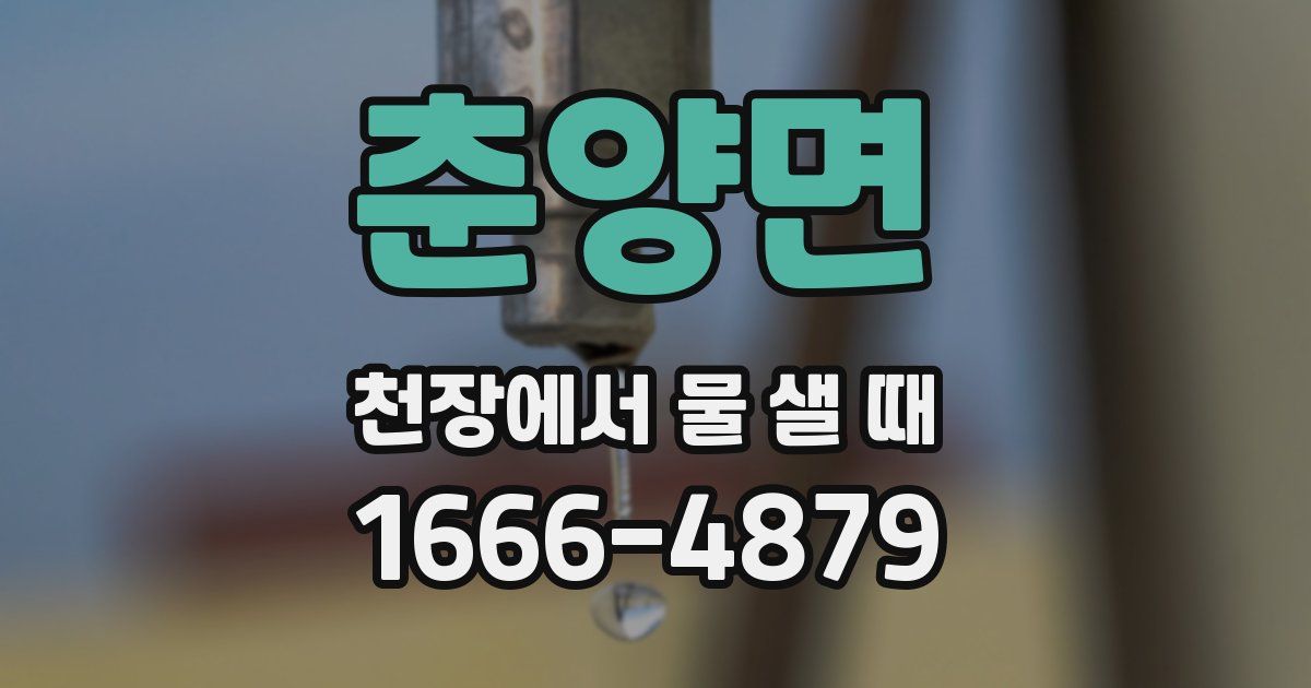 춘양면 천장에서 물 샐 때