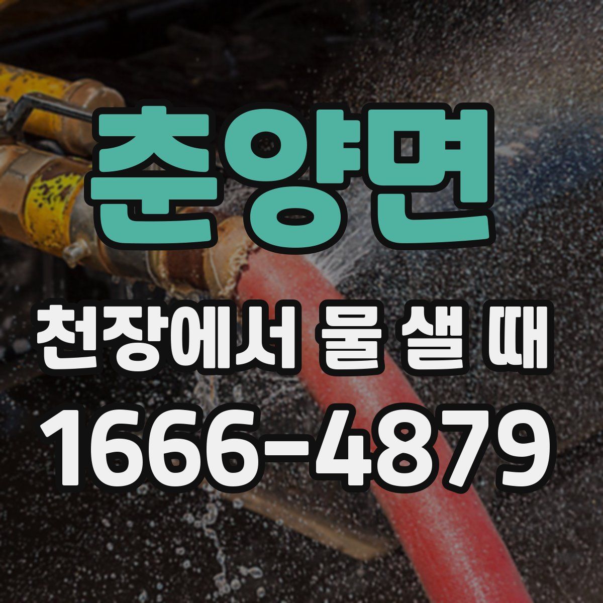 춘양면 천장에서 물 샐 때