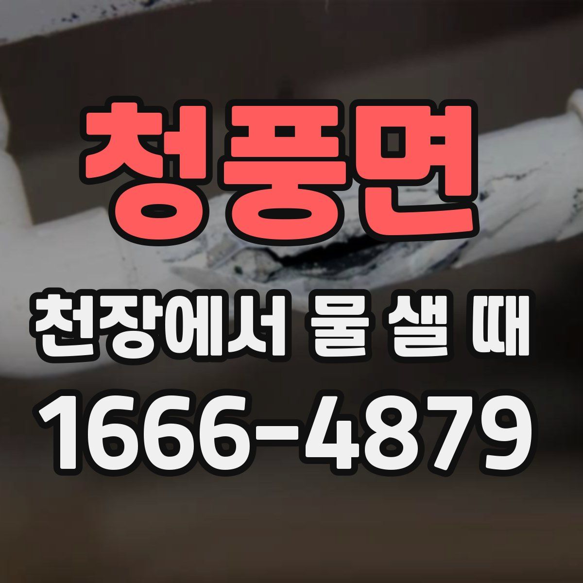 청풍면 천장에서 물 샐 때