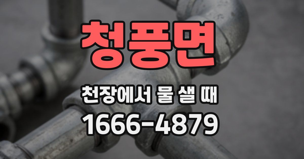 청풍면 천장에서 물 샐 때