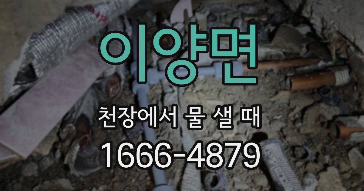 이양면 천장에서 물 샐 때