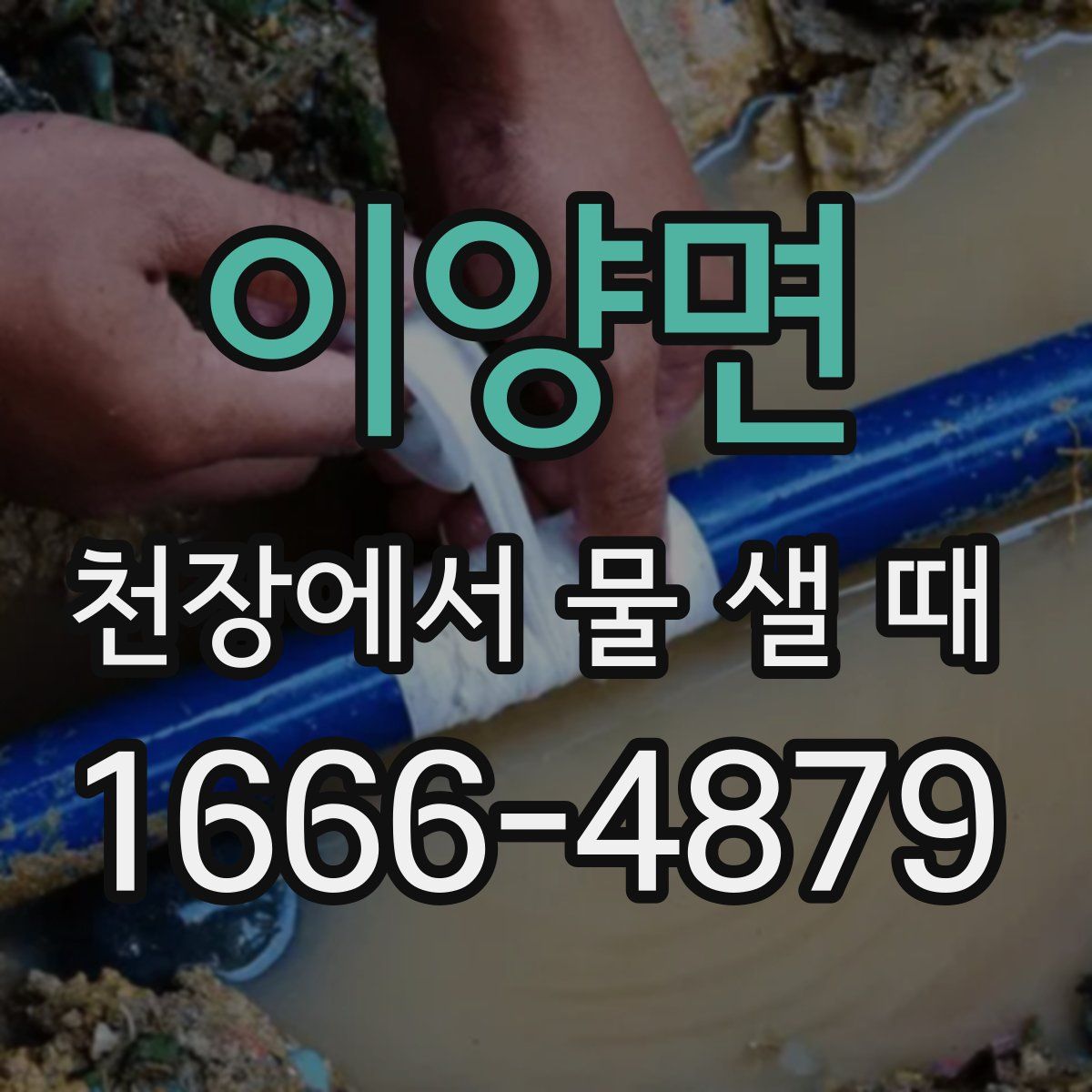 이양면 천장에서 물 샐 때