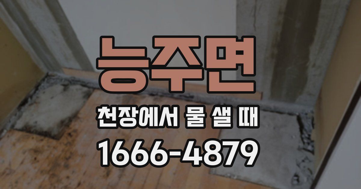 능주면 천장에서 물 샐 때