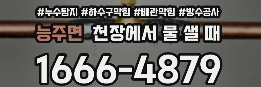 능주면 천장에서 물 샐 때