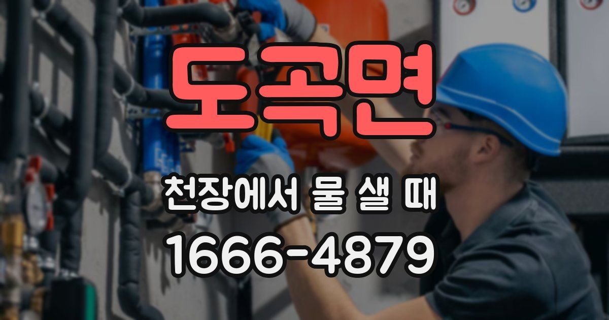 도곡면 천장에서 물 샐 때