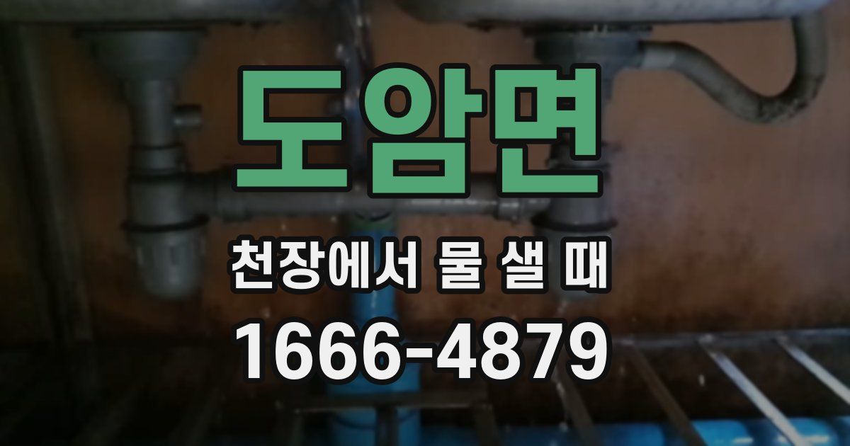 도암면 천장에서 물 샐 때