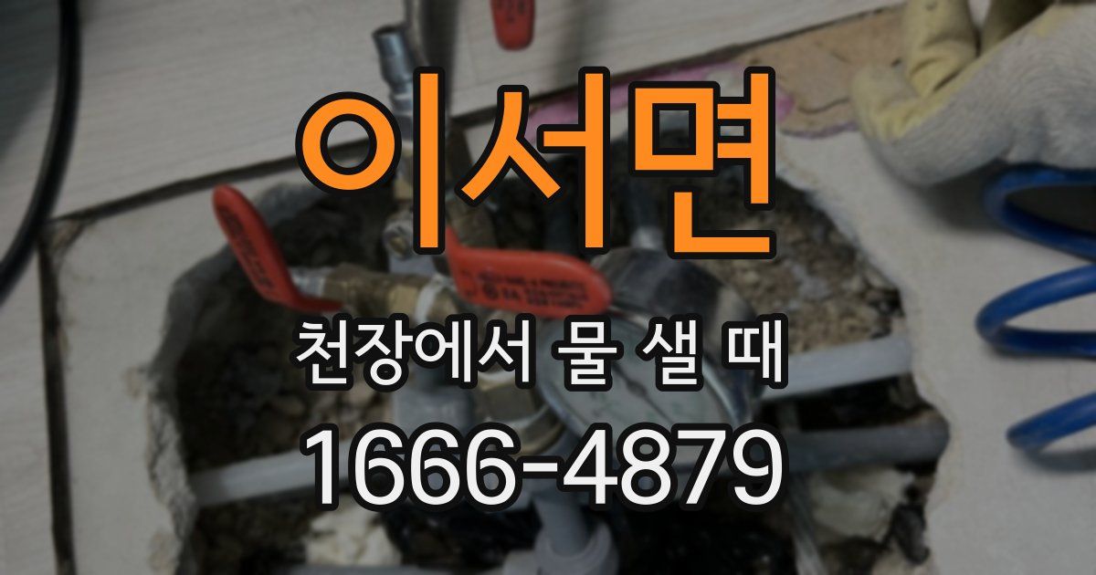 이서면 천장에서 물 샐 때