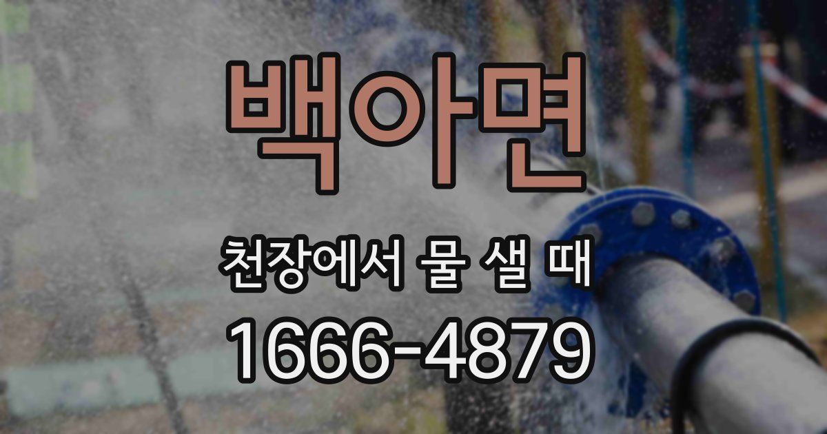 백아면 천장에서 물 샐 때