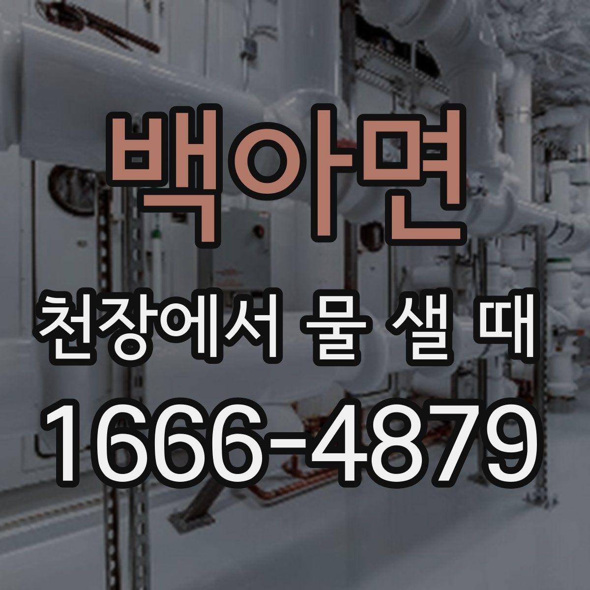 백아면 천장에서 물 샐 때