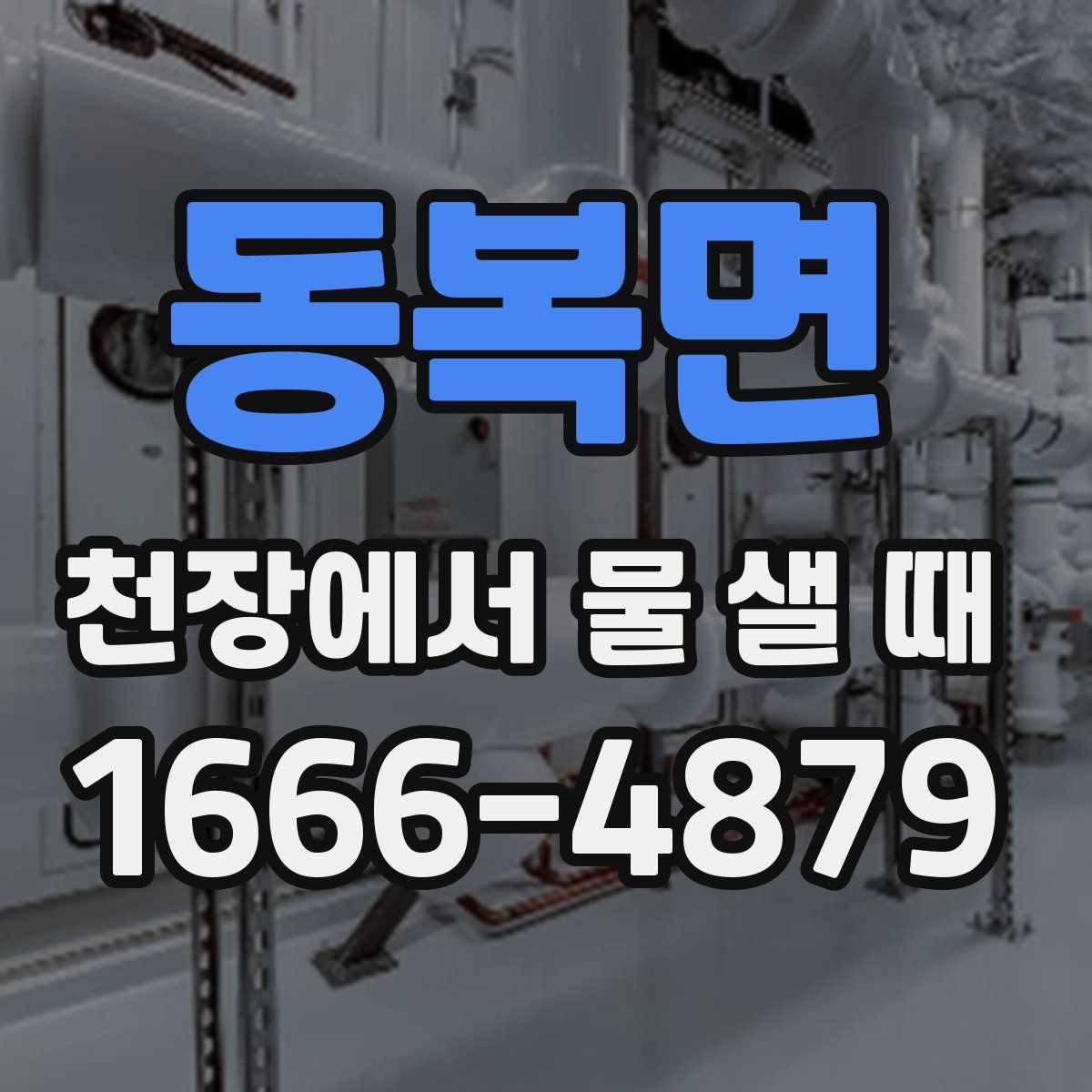 동복면 천장에서 물 샐 때