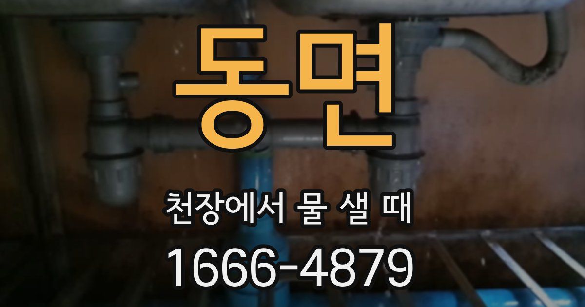 동면 천장에서 물 샐 때