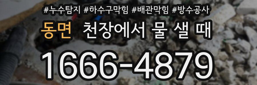 동면 천장에서 물 샐 때