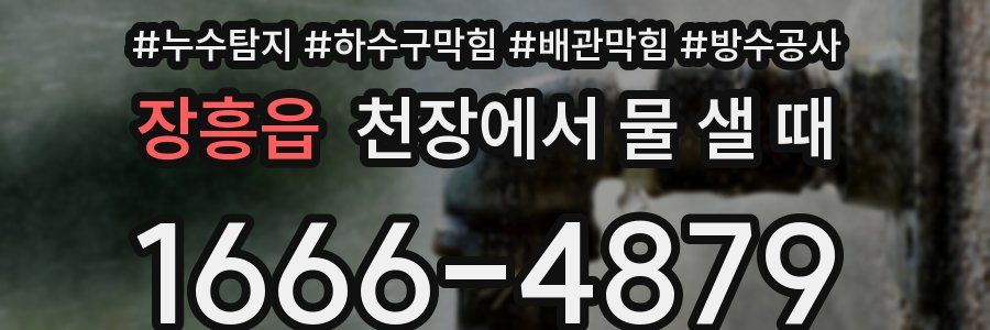 장흥읍 천장에서 물 샐 때