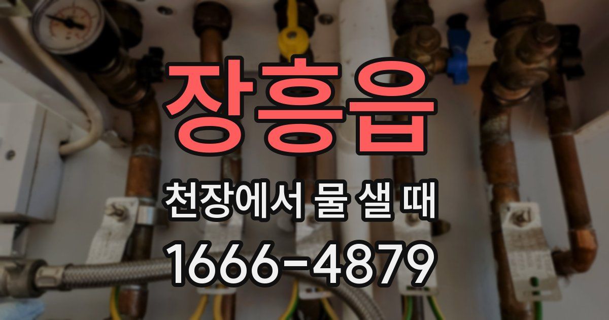 장흥읍 천장에서 물 샐 때