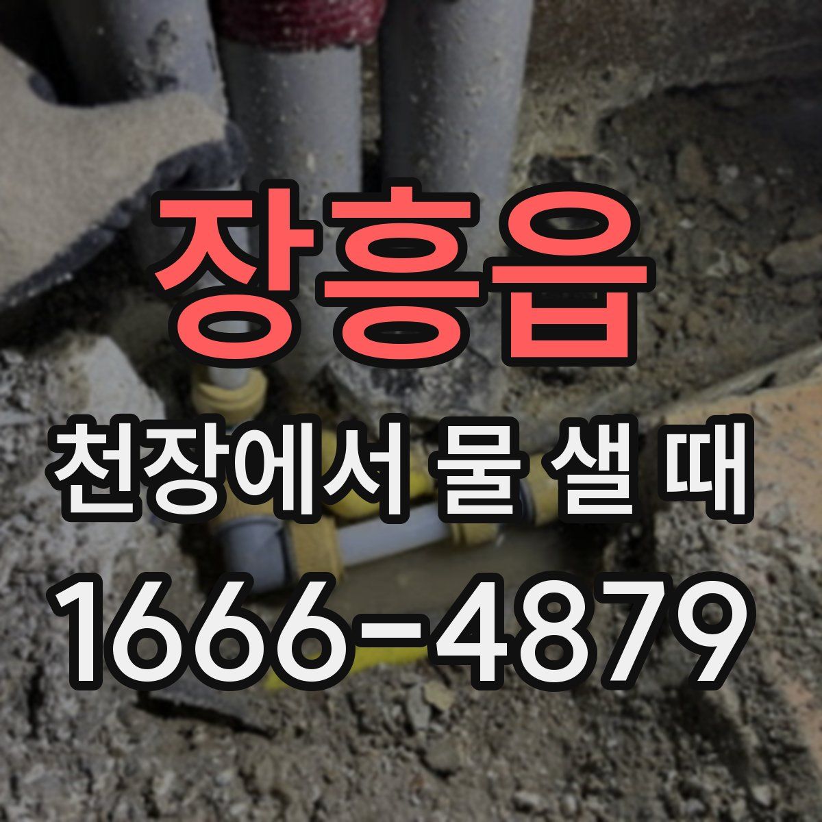 장흥읍 천장에서 물 샐 때