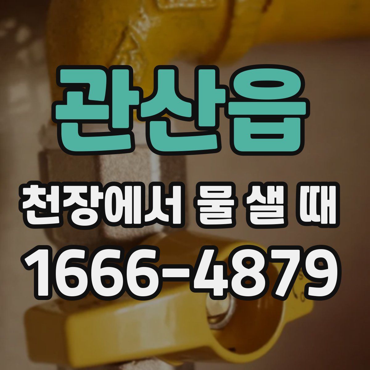 관산읍 천장에서 물 샐 때
