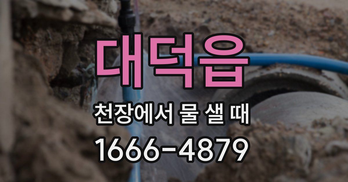 대덕읍 천장에서 물 샐 때