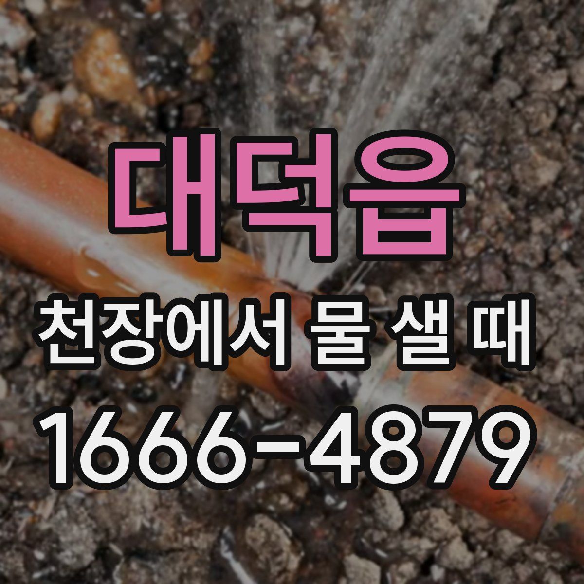 대덕읍 천장에서 물 샐 때