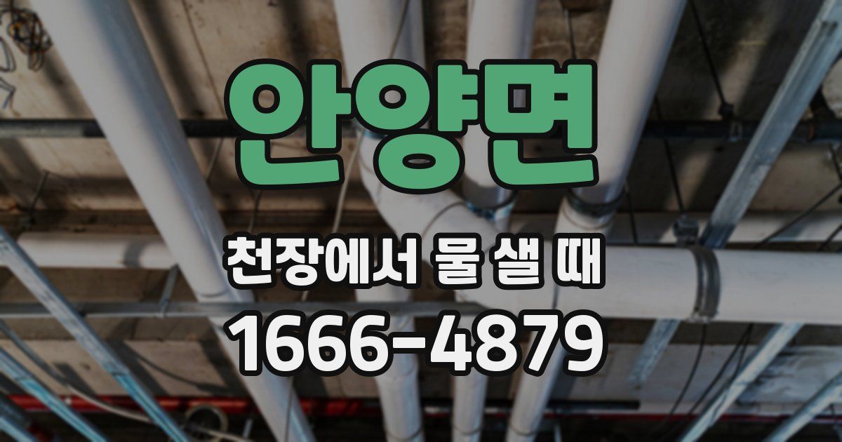 안양면 천장에서 물 샐 때