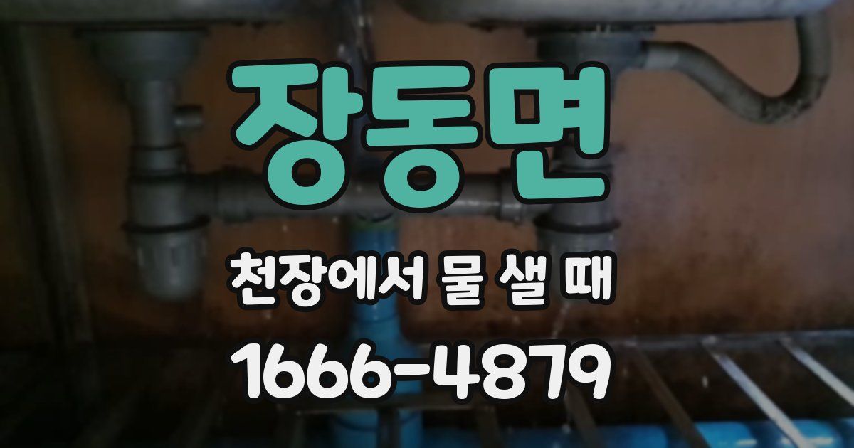 장동면 천장에서 물 샐 때
