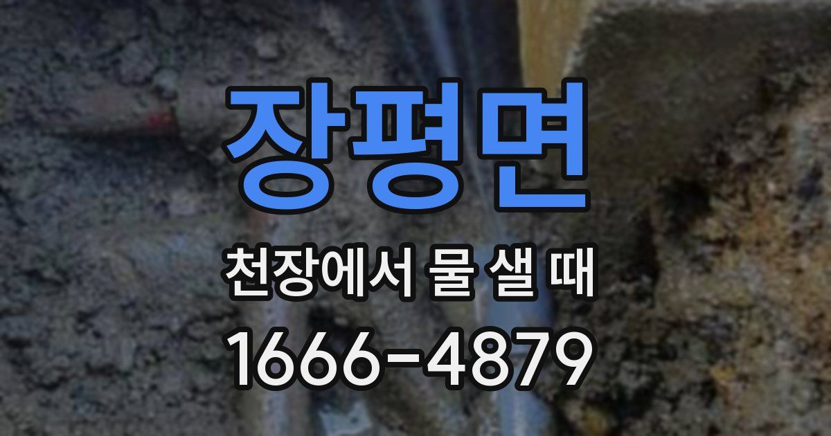 장평면 천장에서 물 샐 때