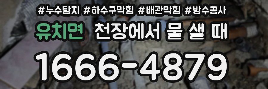 유치면 천장에서 물 샐 때