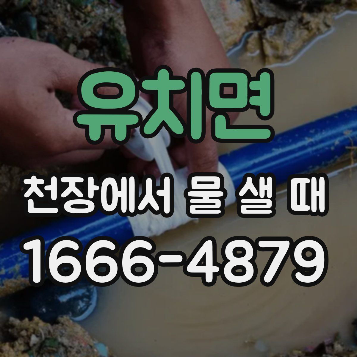 유치면 천장에서 물 샐 때